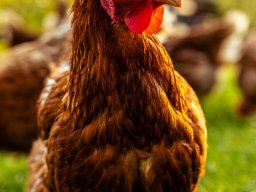 Fotowalk Pfarrwerfen - Bahnhof Werfen